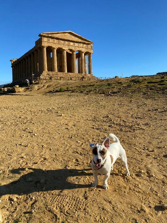 Akragaroom Agrigento Bagian luar foto